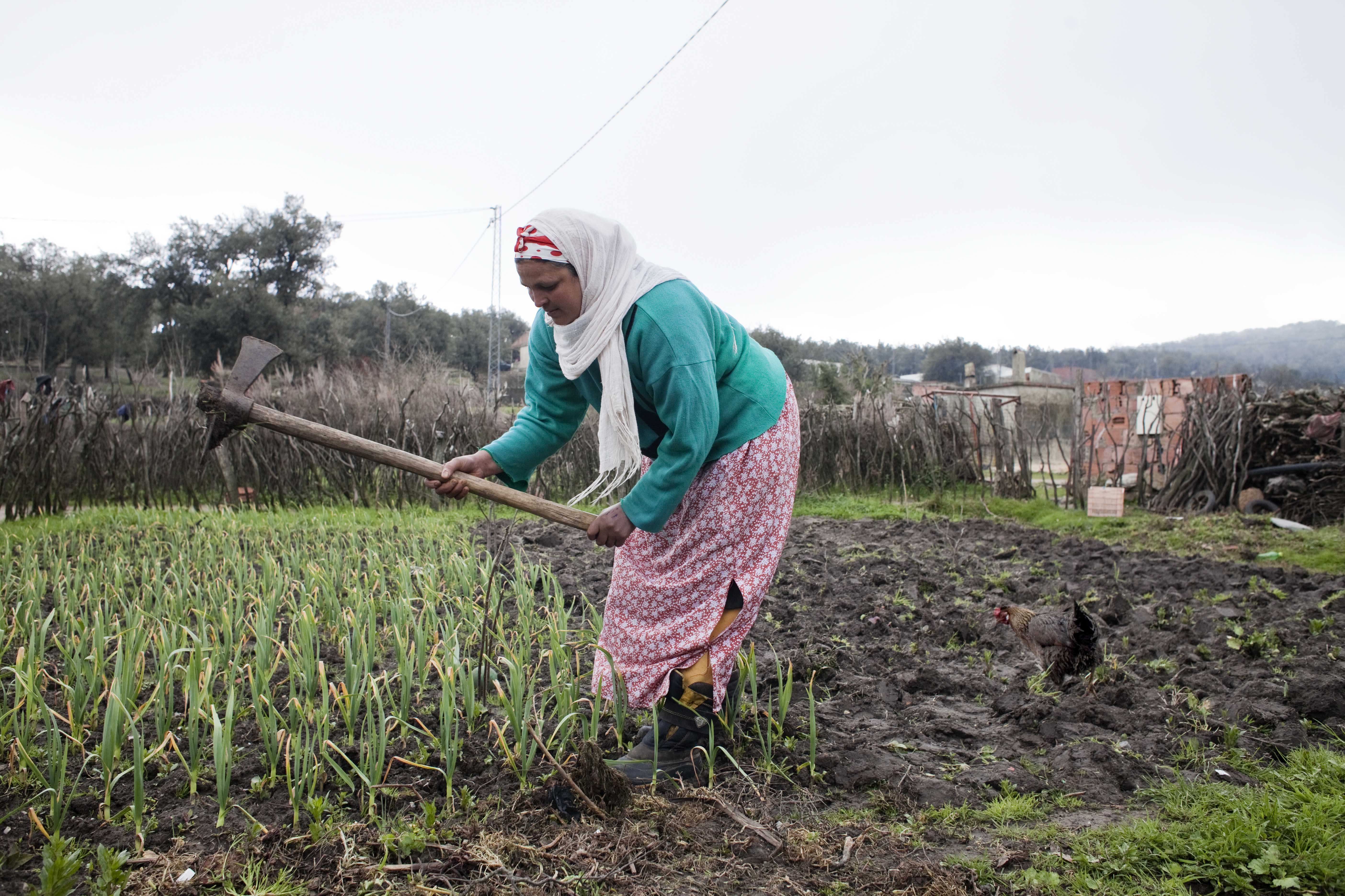 Towards Risk-Informed Response to Natural Disasters in Conflict-affected Communities in Iraq