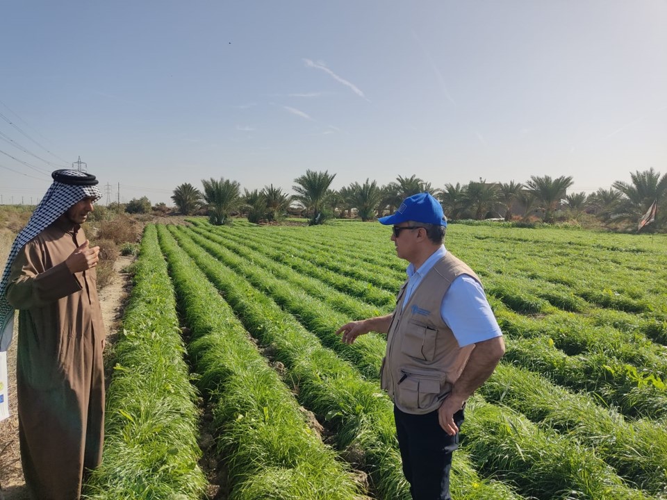 Unlocking Agricultural Potential: Resilient Fodder production in Southern Iraq