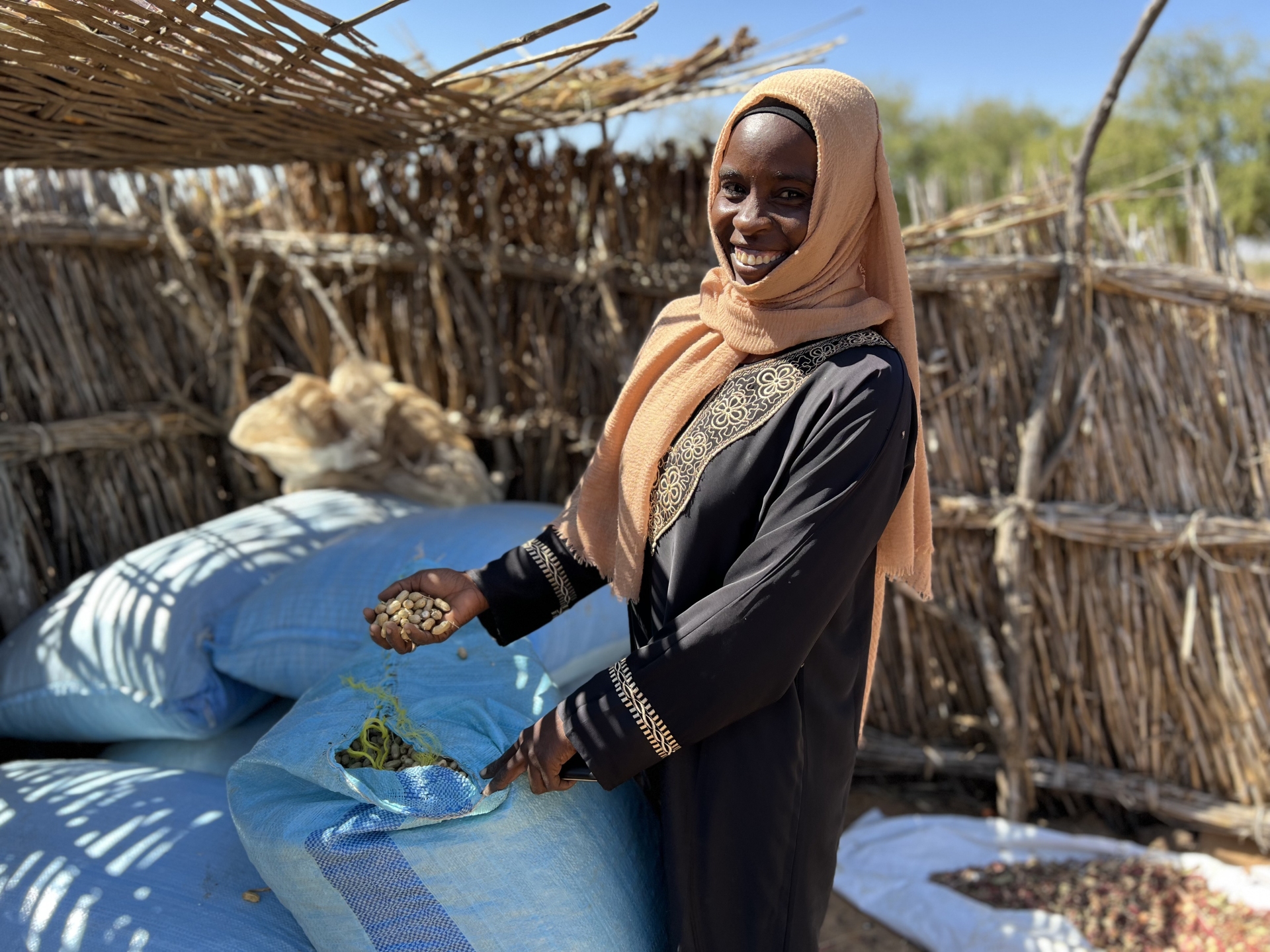 Restoring food and nutrition security of affected farming and pastoral communities in Sudan through the provision of emergency agriculture and livestock.