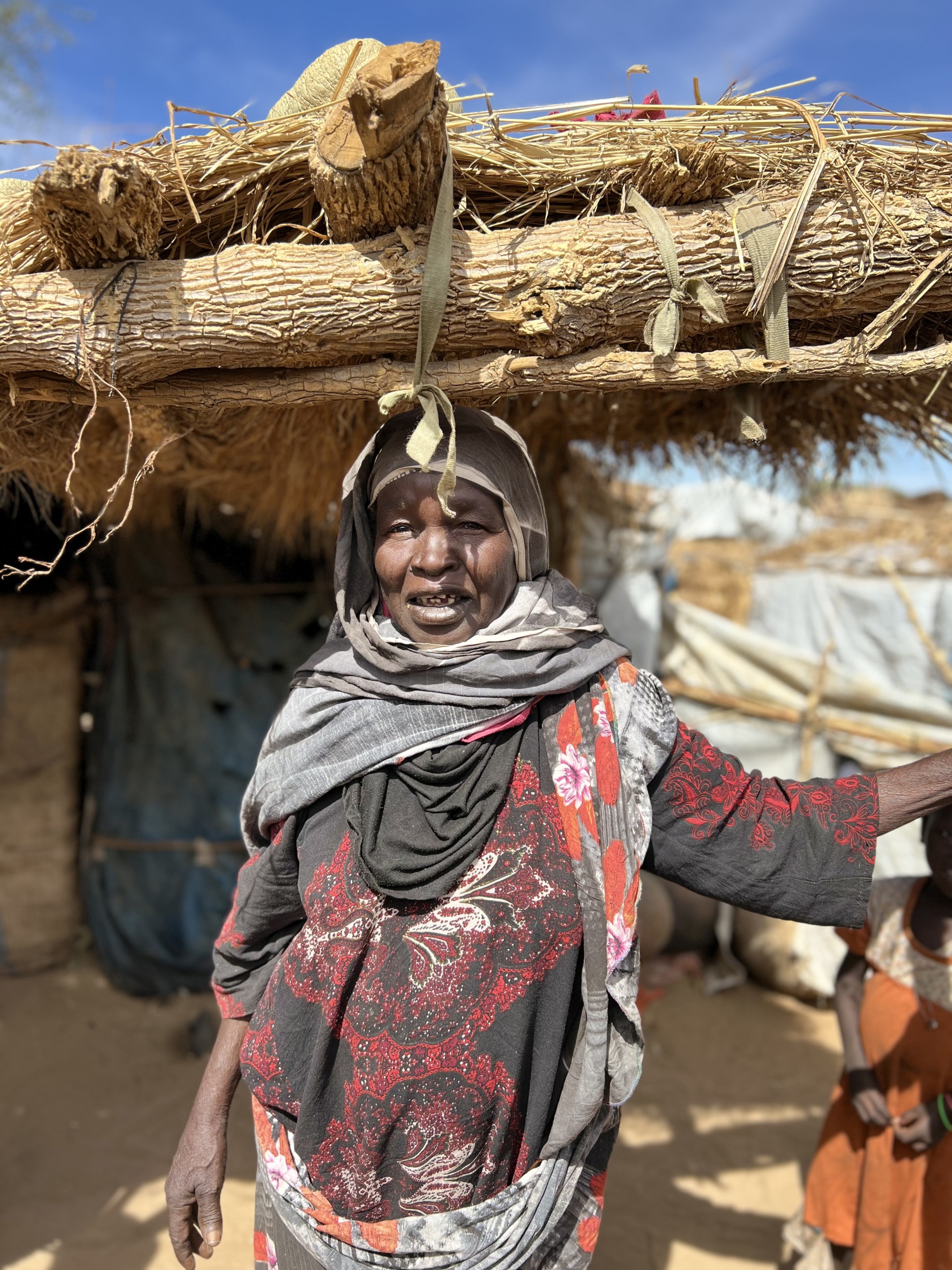 Restoring food and nutrition security of affected farming and pastoral communities in Sudan through the provision of emergency agriculture and livestock.