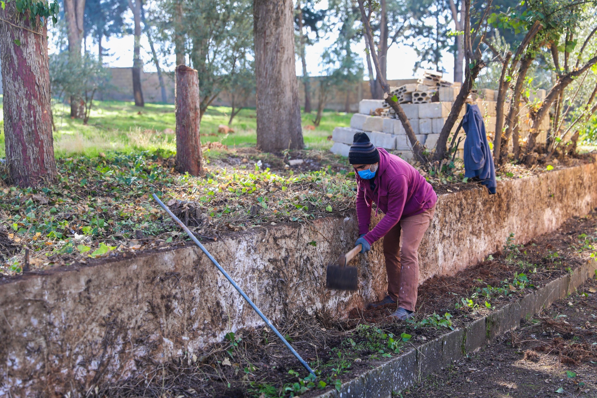 Landscape restoration through co-efforts from Syrian refugees and host communities in Lebanon