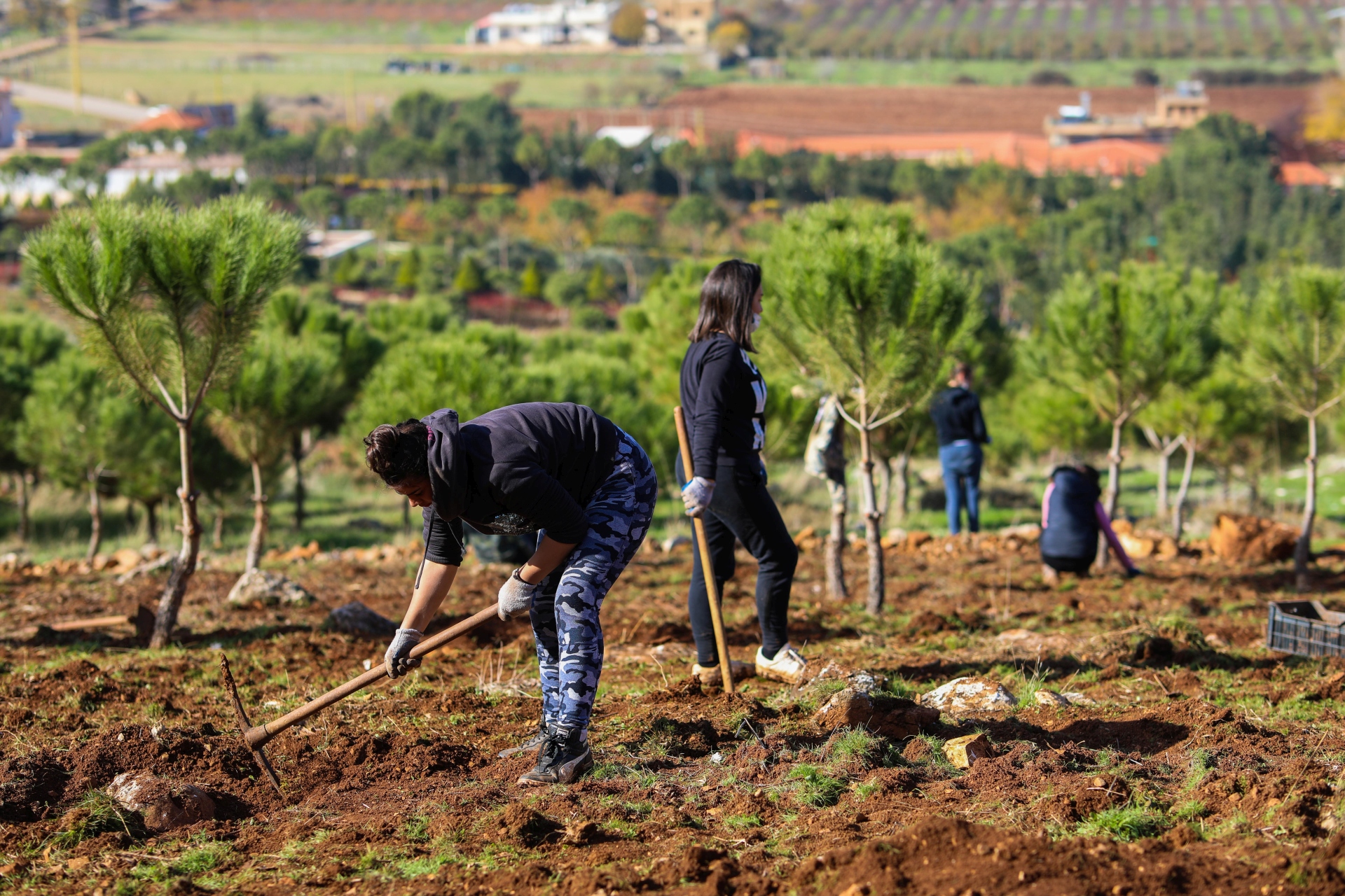 Landscape restoration through co-efforts from Syrian refugees and host communities in Lebanon