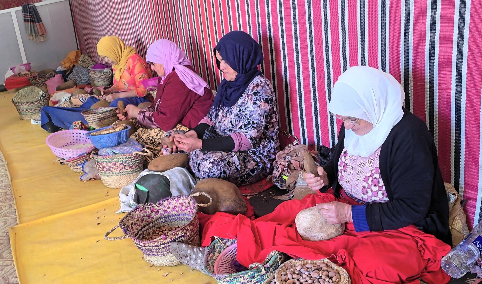 From roots to resilience: Empowering Morocco’s argan landscapes through innovation and community stewardship