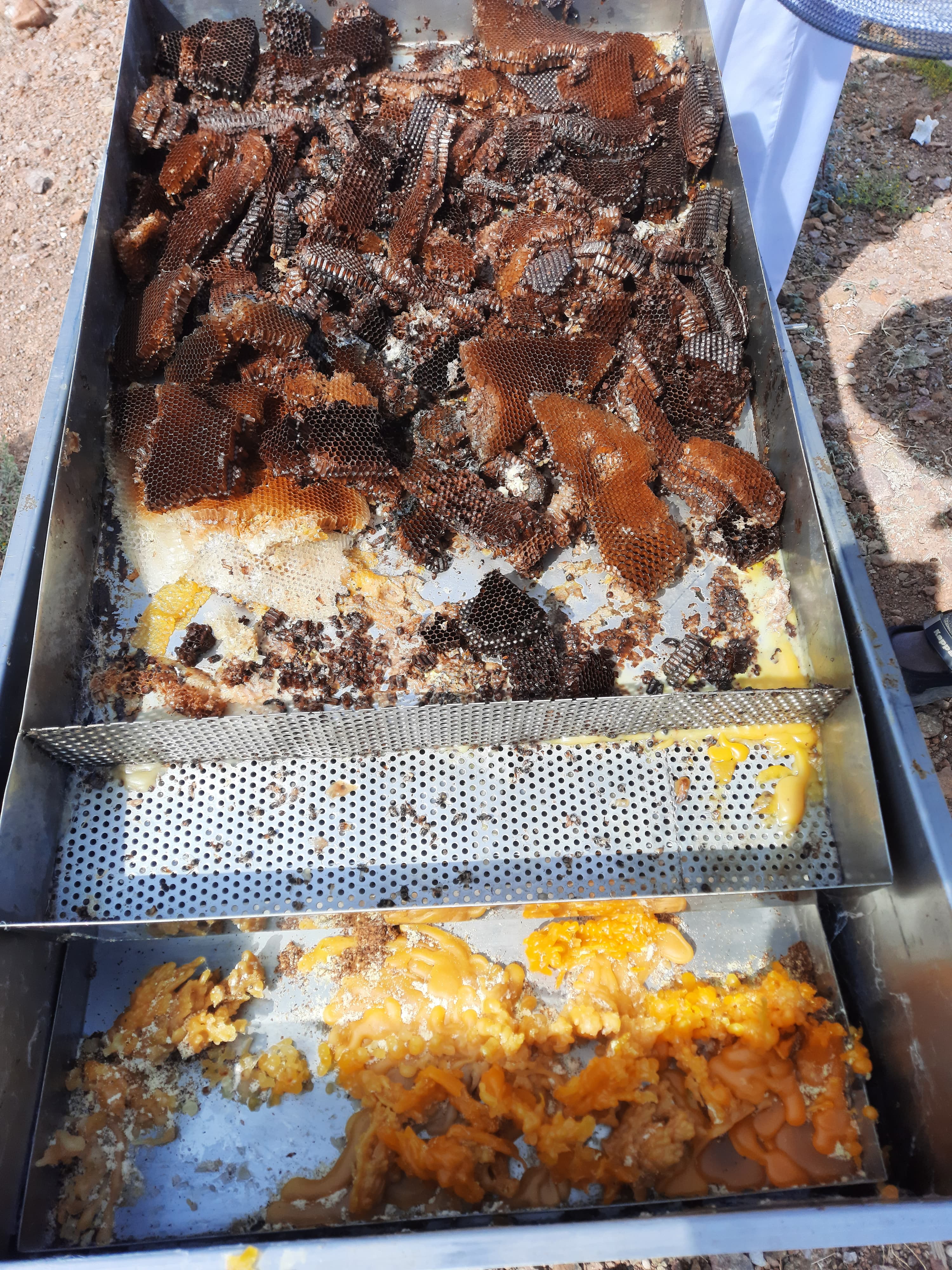 Saudi beekeepers turn ‘waste’ into ‘wealth’