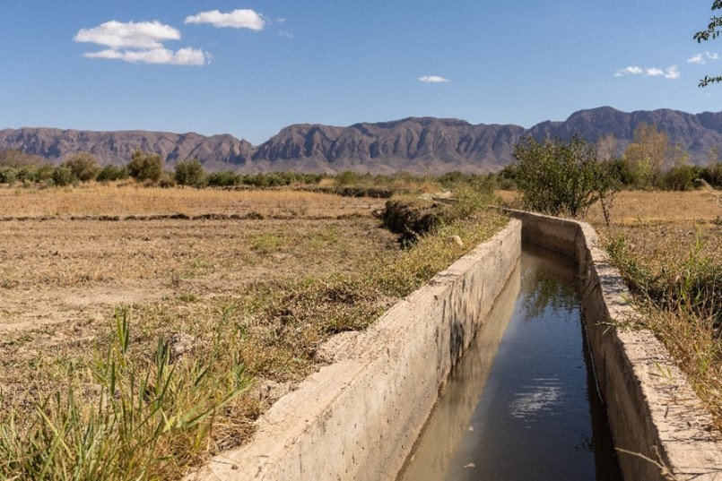 Revitalisation des agroécosystèmes oasiens de Drâa-Tafilalet