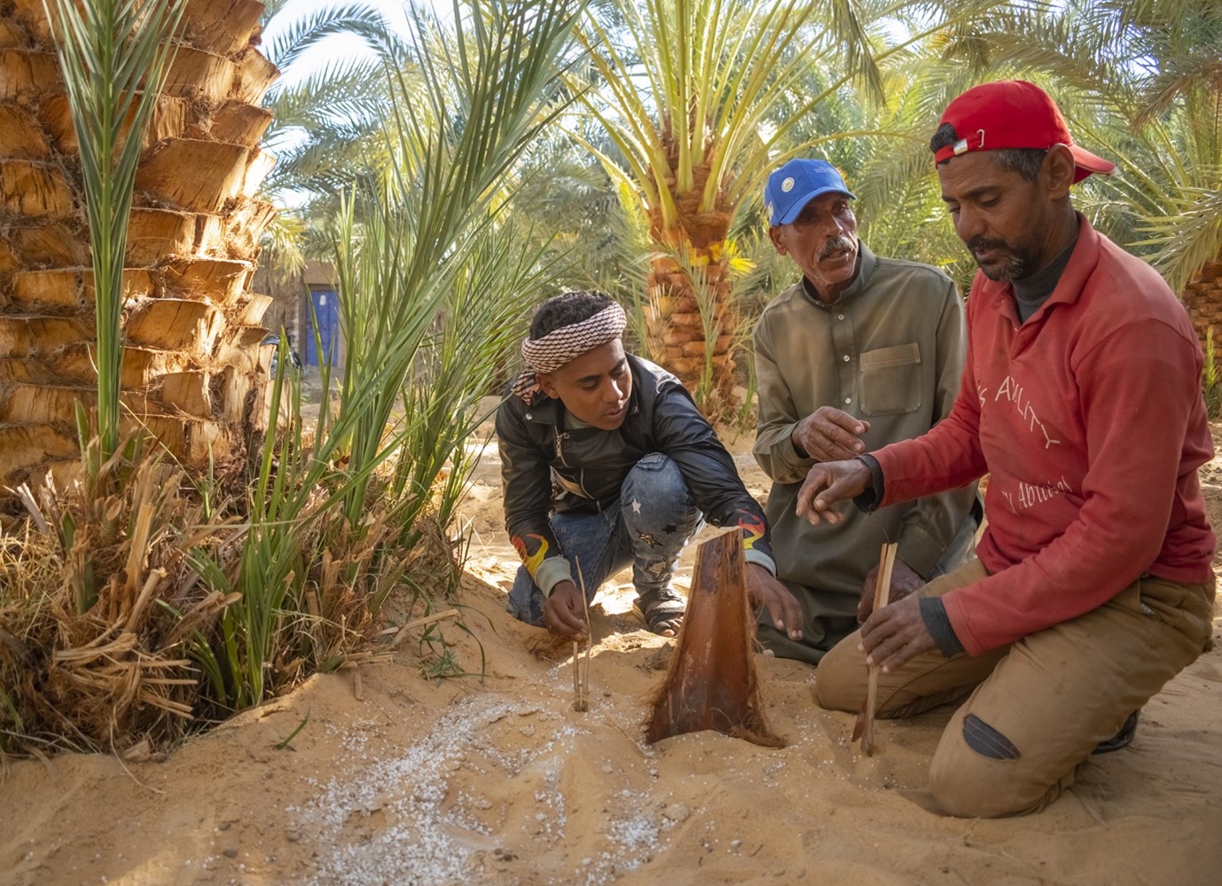 The Sound of Silence: Transforming the Lives of Deaf and Mute Farmers in Egypt’s Desert