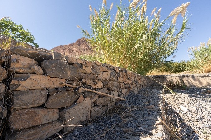Revitalisation des agroécosystèmes oasiens de Drâa-Tafilalet