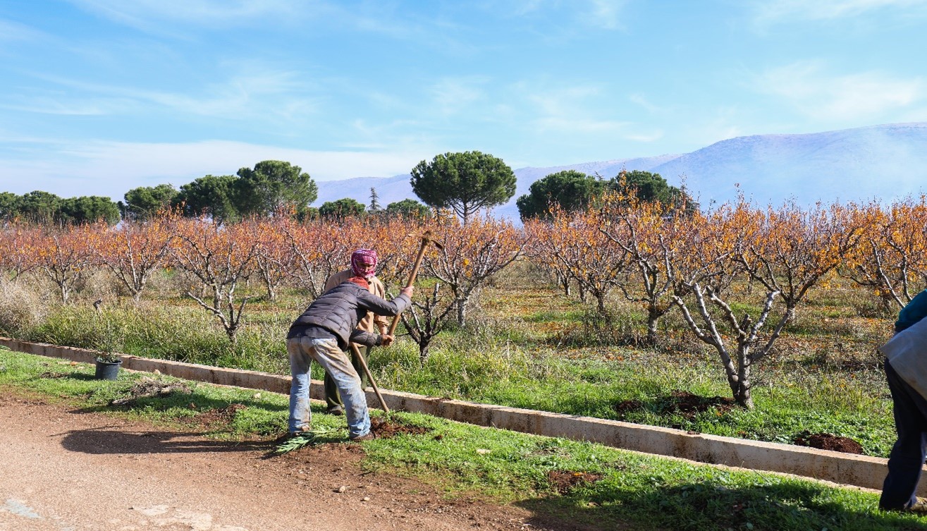 “Creating a better environment while making a living through green jobs” in Anjar - a small model town in Lebanon