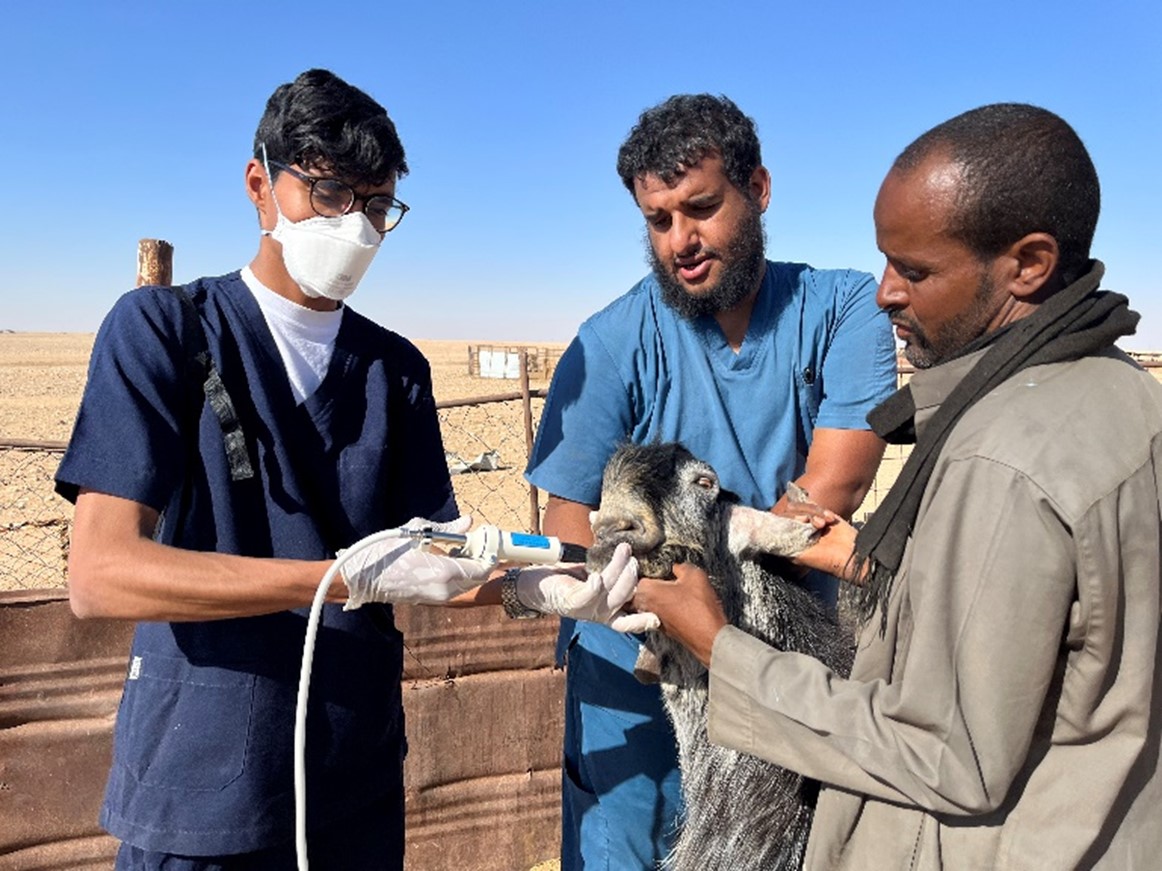 Transforming Livestock Productivity and Empowering Rural Communities: Success story of the Farm Service Delivery Model in Saudi Arabia
