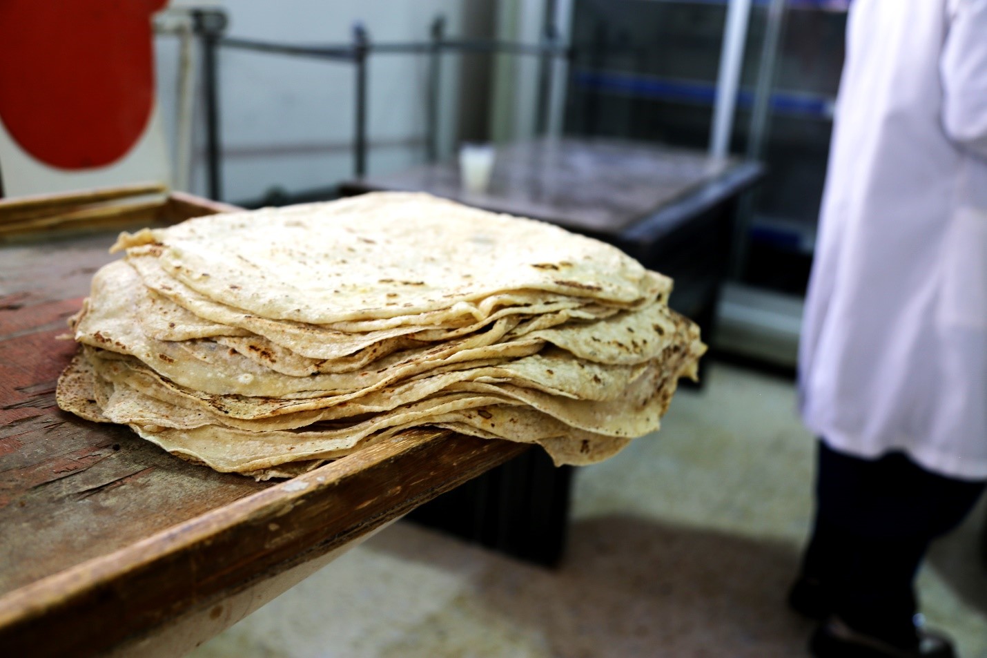 Seeds of Resilience: Empowering Women in Agriculture in Palestine