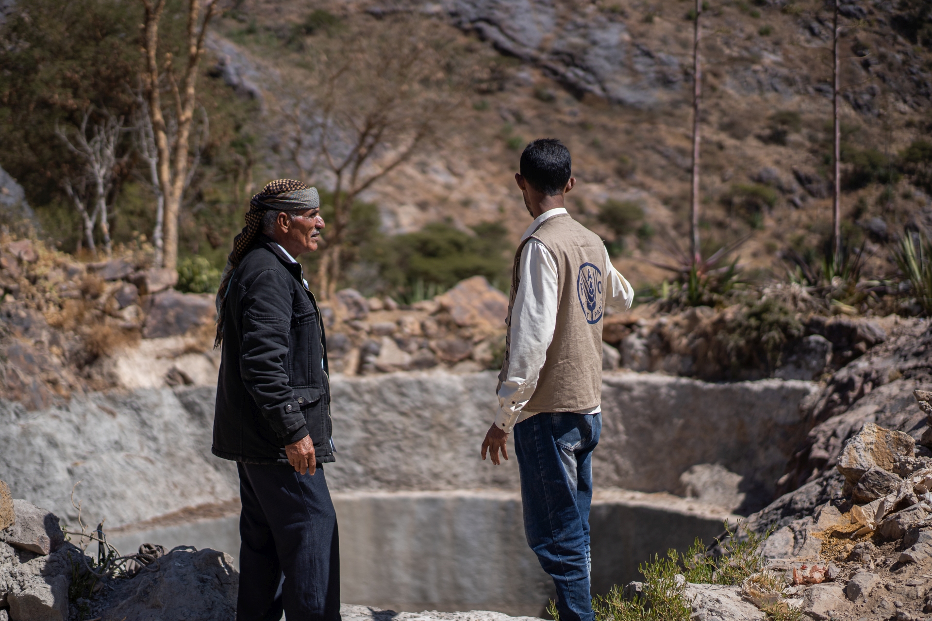 Generating income for Yemeni farmers living under harsh conditions