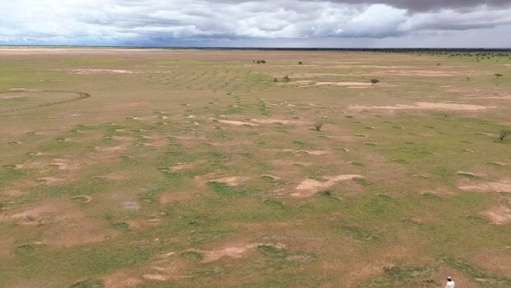 Agrosilvopastoralism in action: restoring Mauritania’s ecosystems for a sustainable future