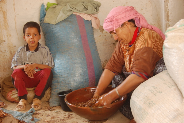 Argan-based agro-sylvo-pastoral