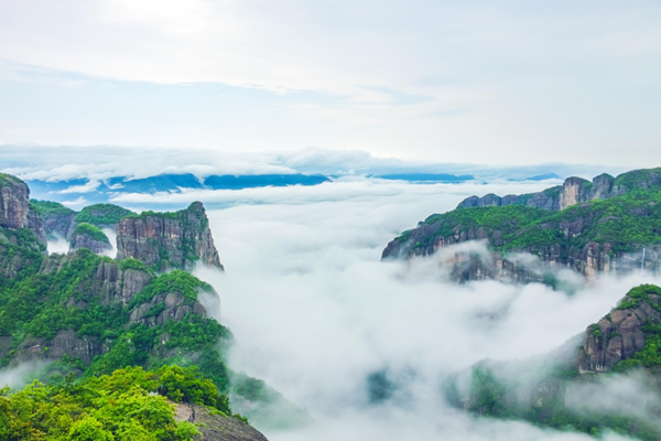 CHINA - Xianju Ancient Chinese Waxberry Composite System in Zhejiang Province