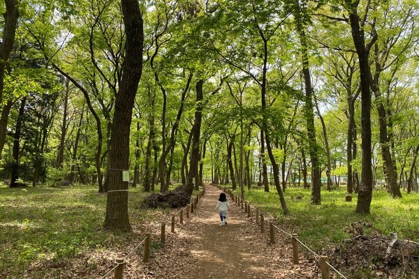 Fallen Leaves Compost Agroforestry System in Musashino Upland, in the peri-urban area of Tokyo, Japan