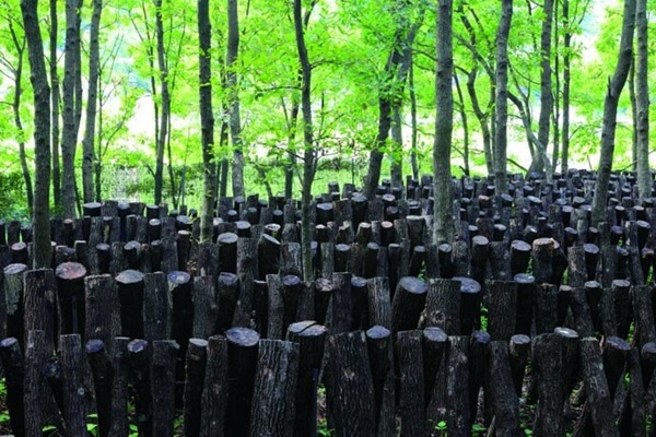 FAO-GIAHSFollow Japan - Kunisaki Peninsula Usa Integrated Forestry, Agriculture and Fisheries System