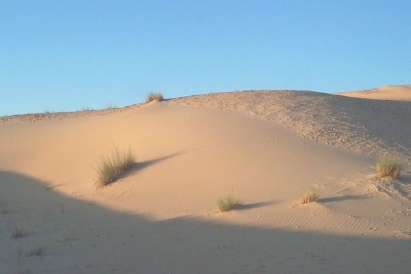 Ghout Oasis system El Oued, Algeria