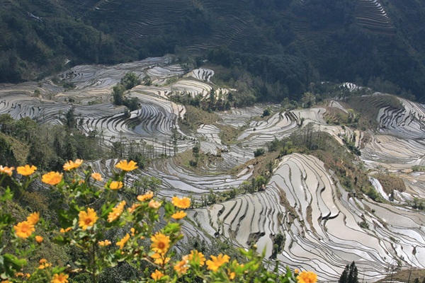 Hani Rice Terraces, China