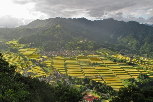 Integrated Farming System for Harmonizing People and Cattle in the Mikata District, Japan