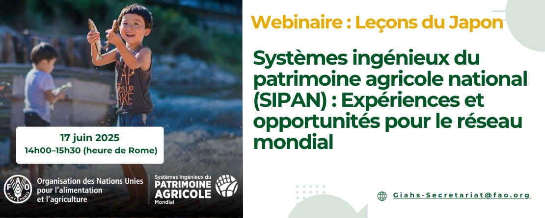 Leçons tirées des Systèmes ingénieux du patrimoine agricole national (NIAHS) du Japon : Expériences et opportunités pour le réseau mondial