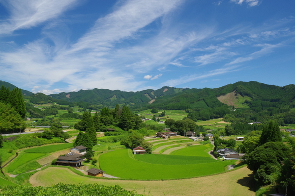 Japan Takachihogo Shiibayama Mountainous agriculture and forestry system