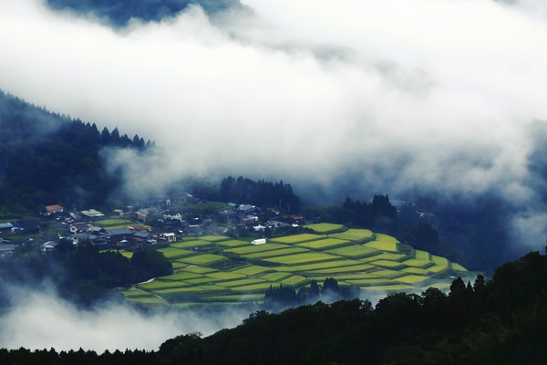 Japan Takachihogo Shiibayama Mountainous agriculture and forestry system