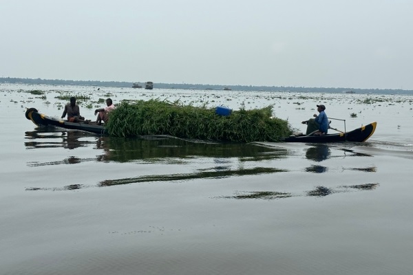 Kuttanad