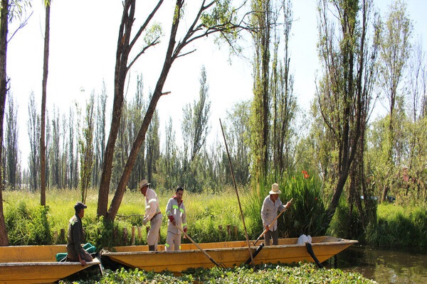 Mexico - Chinampa system in Mexico