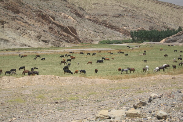 Morocco - Oases System in Atlas Mountains