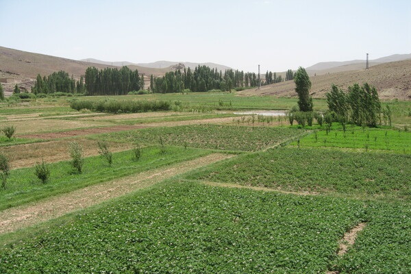 Morocco - Oases System in Atlas Mountains