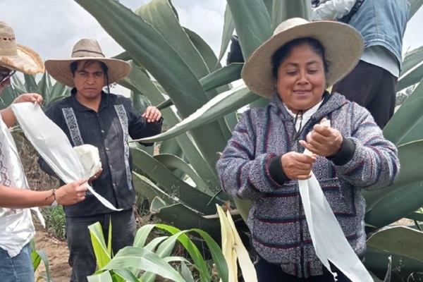 Noticia-México