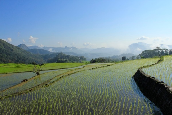 Philippines
