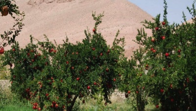 Qanat Irrigated Agricultural Heritage Systems, Kashan.