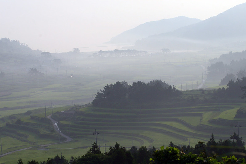 Republic of Korea - Traditional Gudeuljang Irrigated Rice Terraces in Cheongsando