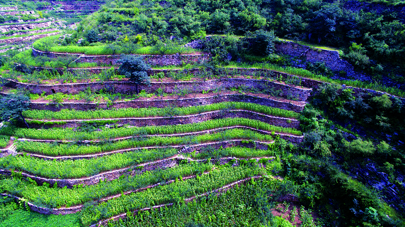 Shexian Dryland Stone Terraced System, China