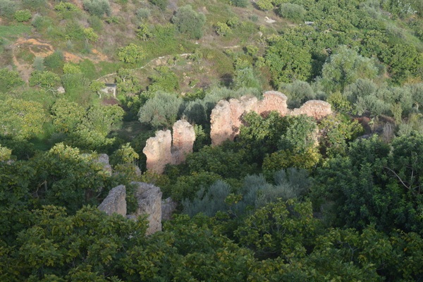 Tunisia - Hanging gardens from Djebba El Olia