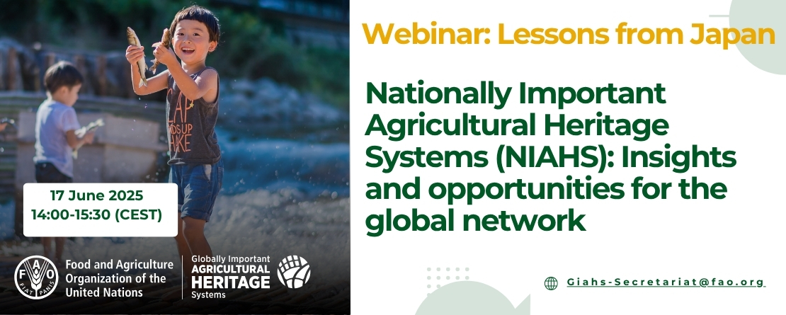 Lessons from Japan’s Nationally Important Agricultural Heritage Systems (NIAHS): Insights and Opportunities for the Global Network