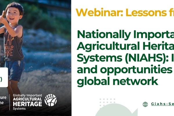 Webinar - Japan