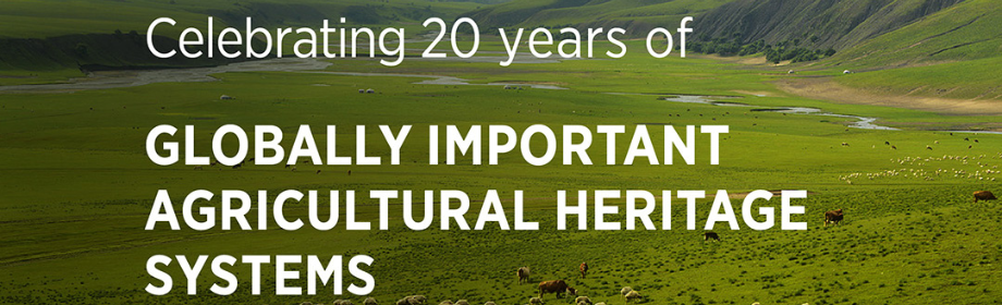 20th anniversary celebrations of the Globally Important Agricultural Heritage Systems (GIAHS) Programme