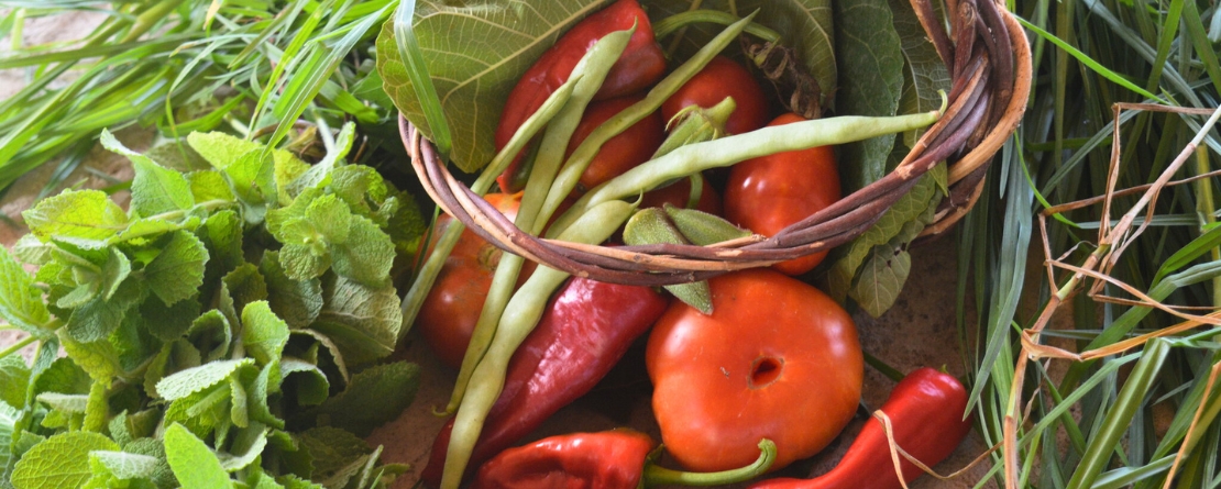 Les secrets de la tomate