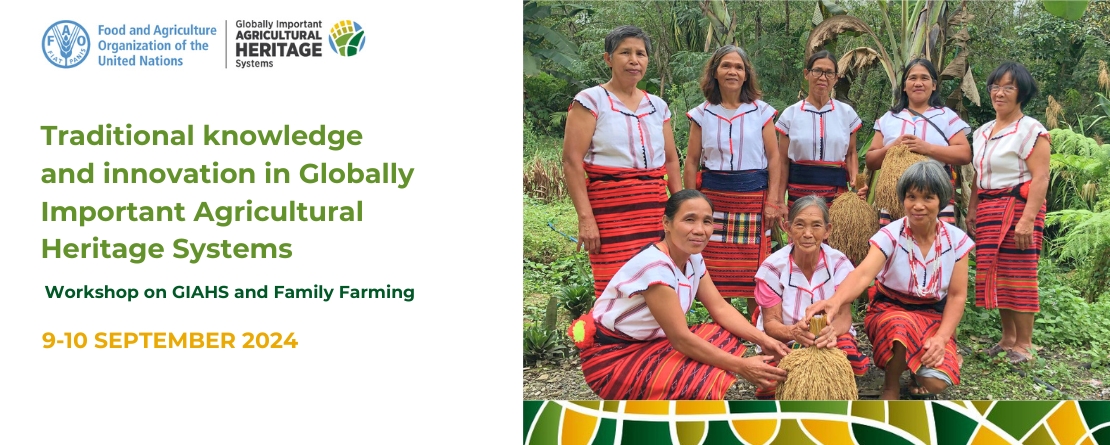 Traditional knowledge and innovation in GIAHS