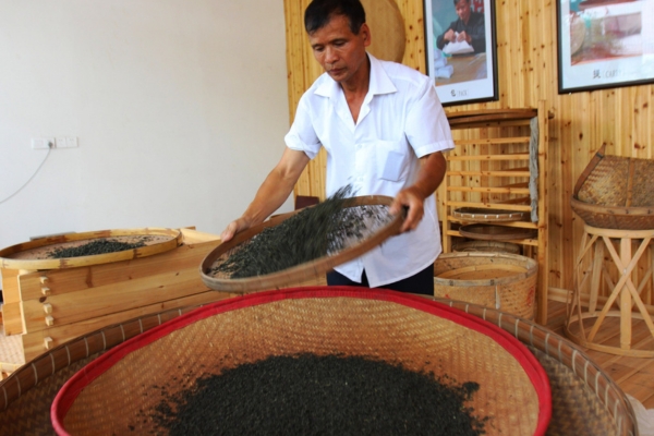 Drying Tea Leaves