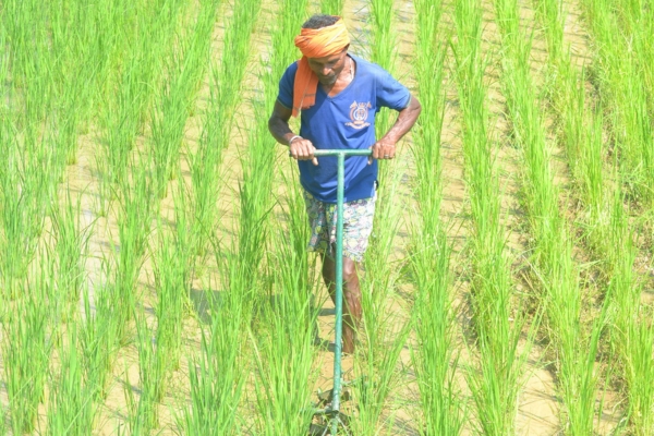 men India