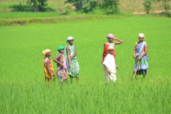 women-field