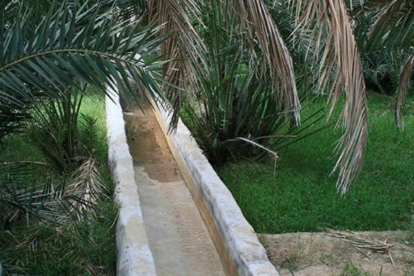 qanad channel