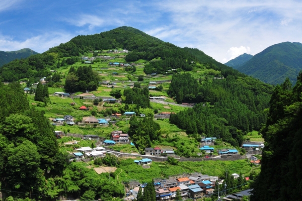 Nishi 1