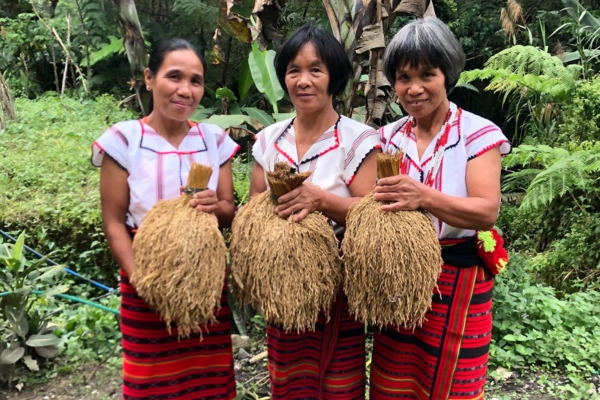 Ifugao 6