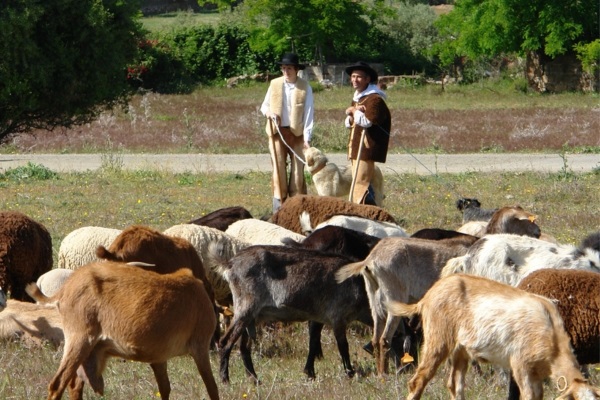 3 Montado 3