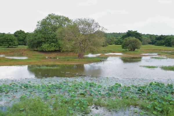 Sri Lanka2