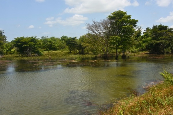 Sri Lanka4